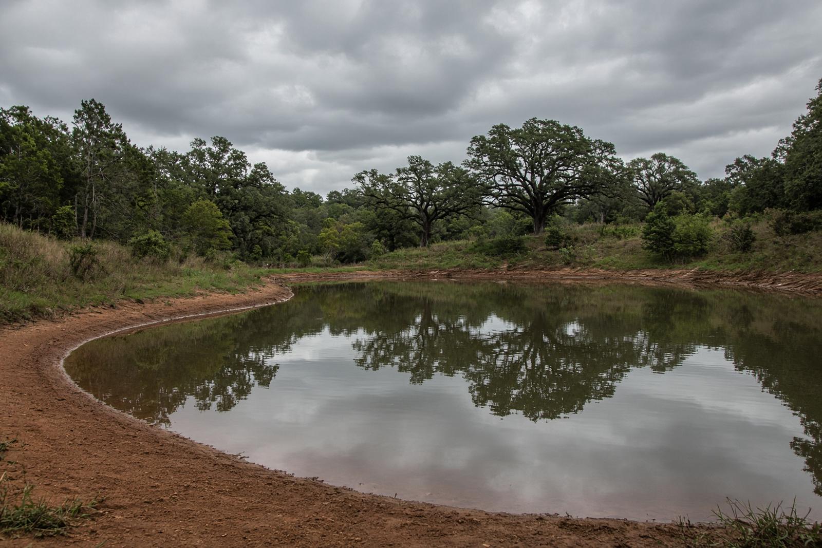 Farm pond with shaped clay banks and trees on the far shore